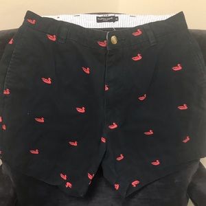 Southern Marsh shorts